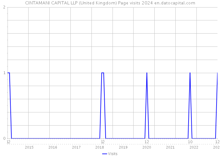 CINTAMANI CAPITAL LLP (United Kingdom) Page visits 2024 