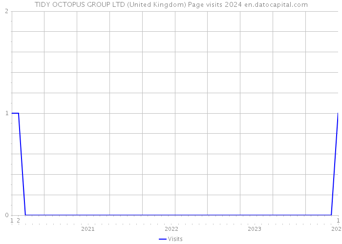 TIDY OCTOPUS GROUP LTD (United Kingdom) Page visits 2024 