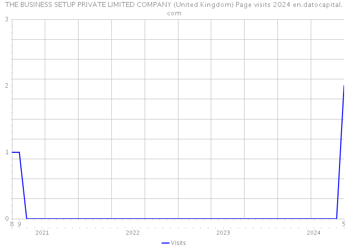 THE BUSINESS SETUP PRIVATE LIMITED COMPANY (United Kingdom) Page visits 2024 