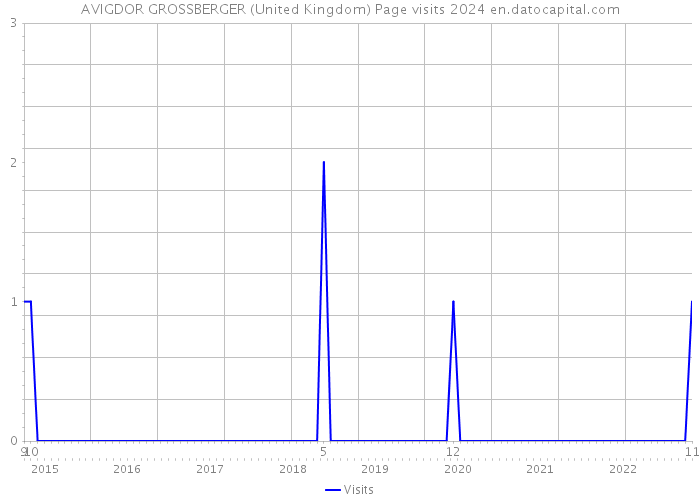 AVIGDOR GROSSBERGER (United Kingdom) Page visits 2024 