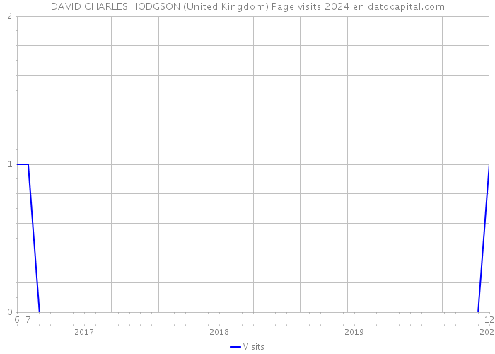 DAVID CHARLES HODGSON (United Kingdom) Page visits 2024 
