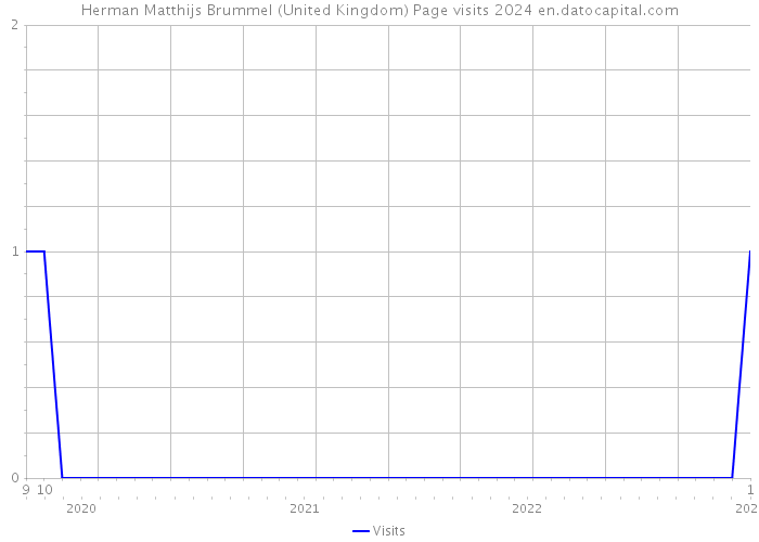 Herman Matthijs Brummel (United Kingdom) Page visits 2024 