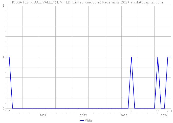 HOLGATES (RIBBLE VALLEY) LIMITED (United Kingdom) Page visits 2024 