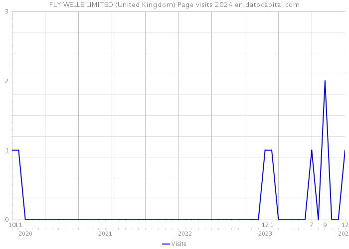 FLY WELLE LIMITED (United Kingdom) Page visits 2024 