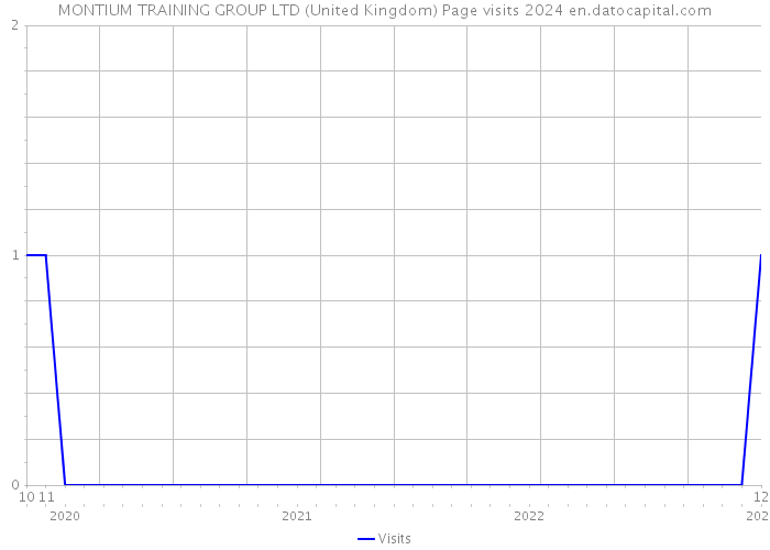 MONTIUM TRAINING GROUP LTD (United Kingdom) Page visits 2024 