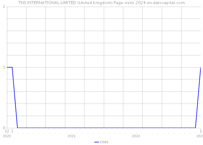TNS INTERNATIONAL LIMITED (United Kingdom) Page visits 2024 