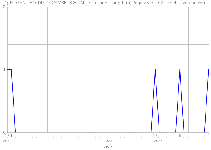 QUADRANT HOLDINGS CAMBRIDGE LIMITED (United Kingdom) Page visits 2024 