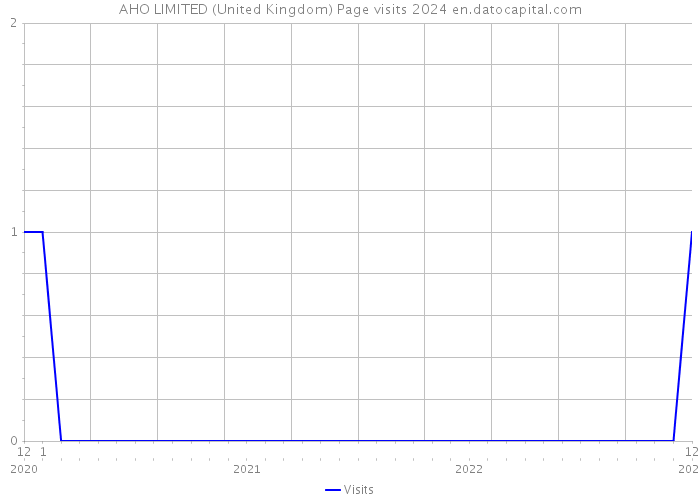 AHO LIMITED (United Kingdom) Page visits 2024 