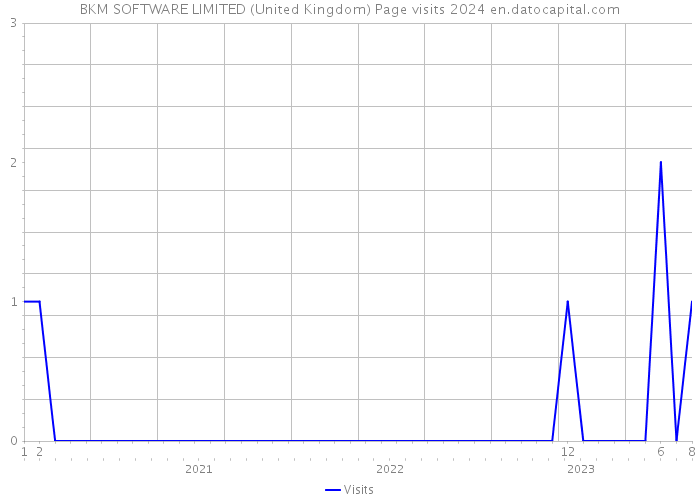 BKM SOFTWARE LIMITED (United Kingdom) Page visits 2024 