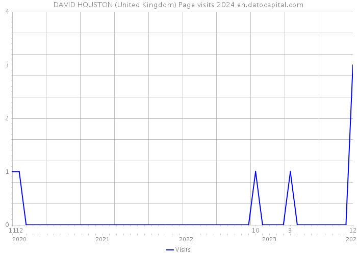 DAVID HOUSTON (United Kingdom) Page visits 2024 
