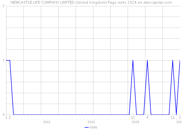 NEWCASTLE LIFE COMPANY LIMITED (United Kingdom) Page visits 2024 
