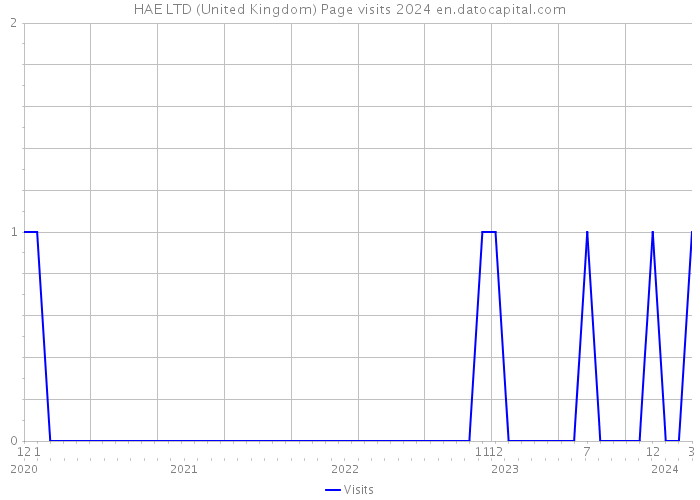 HAE LTD (United Kingdom) Page visits 2024 