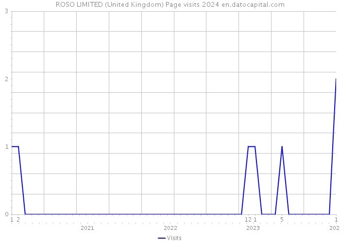 ROSO LIMITED (United Kingdom) Page visits 2024 