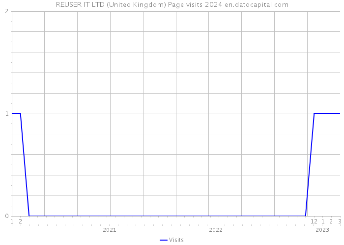 REUSER IT LTD (United Kingdom) Page visits 2024 