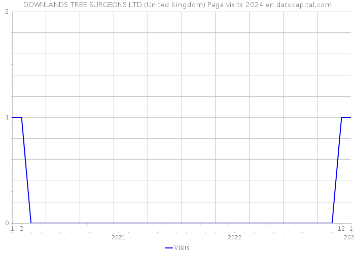 DOWNLANDS TREE SURGEONS LTD (United Kingdom) Page visits 2024 