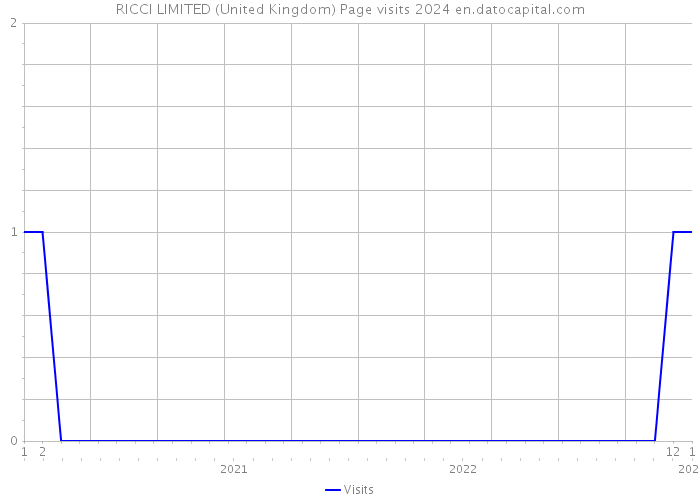 RICCI LIMITED (United Kingdom) Page visits 2024 
