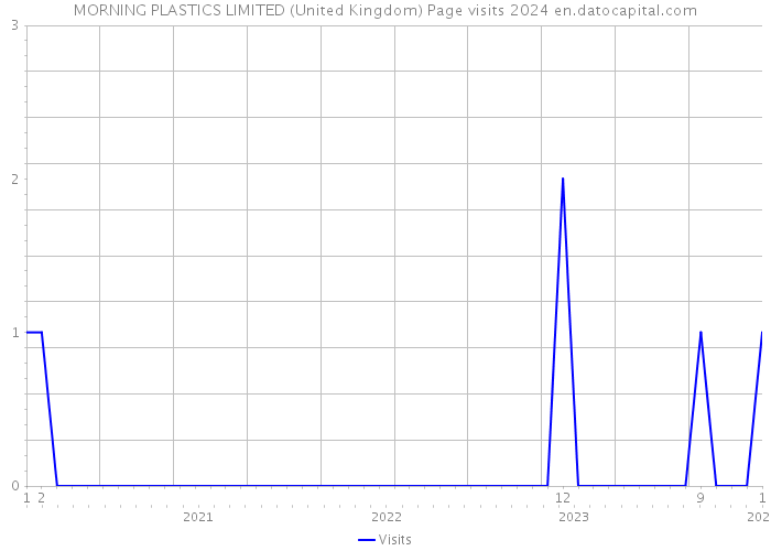 MORNING PLASTICS LIMITED (United Kingdom) Page visits 2024 