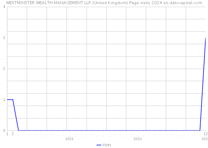WESTMINSTER WEALTH MANAGEMENT LLP (United Kingdom) Page visits 2024 