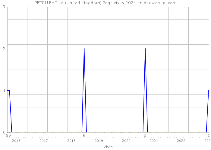 PETRU BADILA (United Kingdom) Page visits 2024 