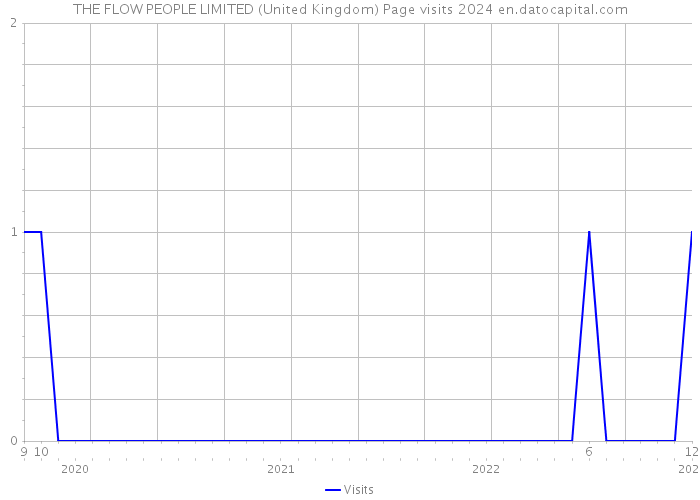 THE FLOW PEOPLE LIMITED (United Kingdom) Page visits 2024 
