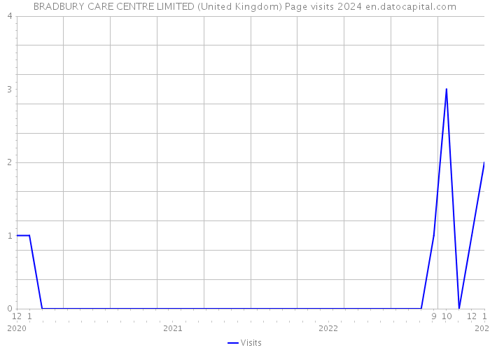 BRADBURY CARE CENTRE LIMITED (United Kingdom) Page visits 2024 