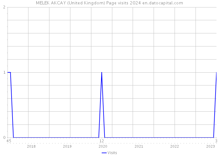 MELEK AKCAY (United Kingdom) Page visits 2024 