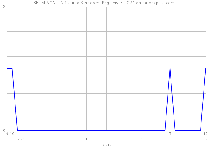 SELIM AGALLIN (United Kingdom) Page visits 2024 