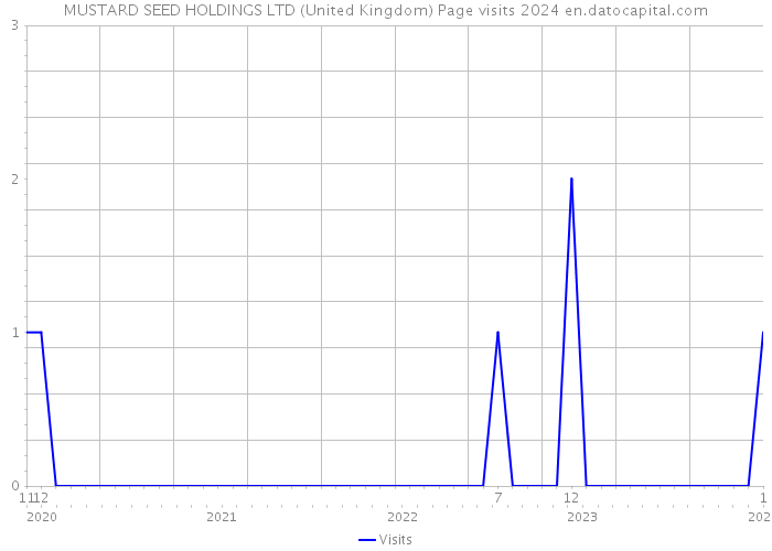 MUSTARD SEED HOLDINGS LTD (United Kingdom) Page visits 2024 
