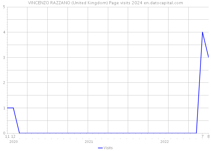 VINCENZO RAZZANO (United Kingdom) Page visits 2024 
