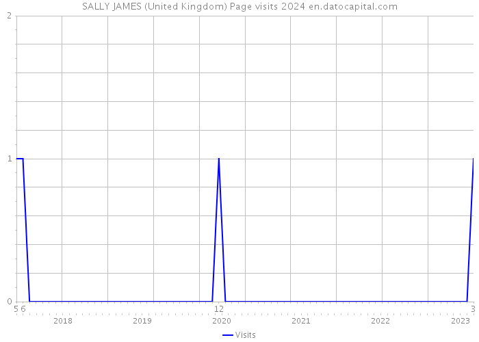SALLY JAMES (United Kingdom) Page visits 2024 
