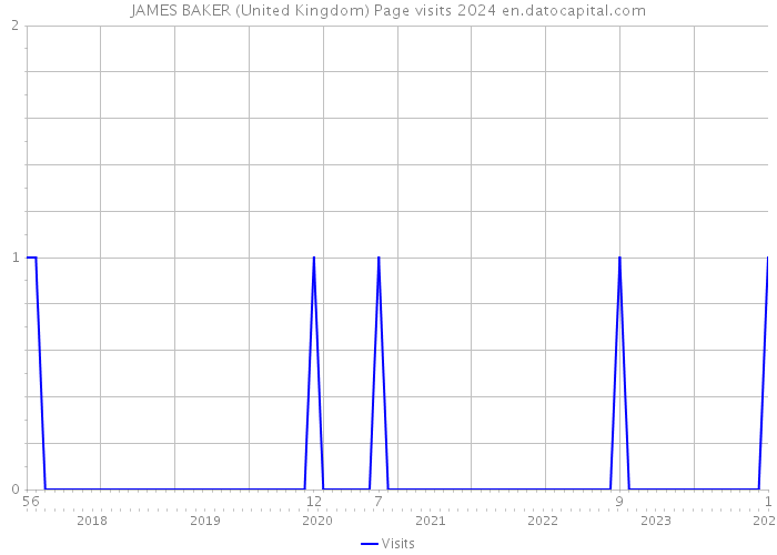 JAMES BAKER (United Kingdom) Page visits 2024 