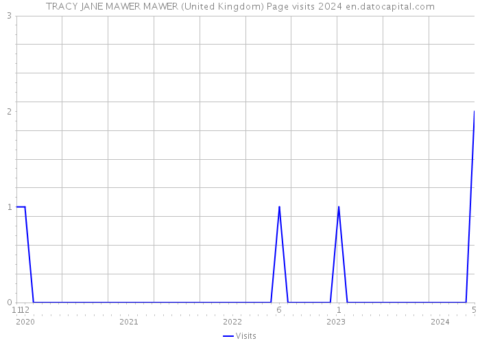 TRACY JANE MAWER MAWER (United Kingdom) Page visits 2024 
