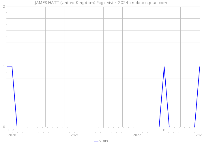 JAMES HATT (United Kingdom) Page visits 2024 