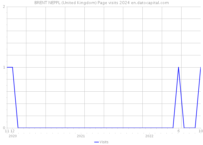 BRENT NEPPL (United Kingdom) Page visits 2024 