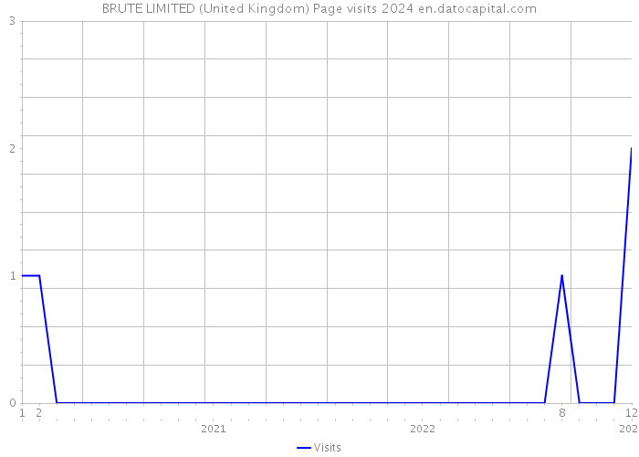 BRUTE LIMITED (United Kingdom) Page visits 2024 