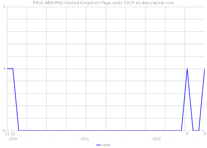 PAUL WEAVING (United Kingdom) Page visits 2024 