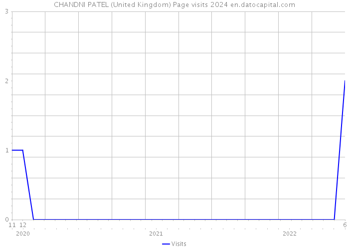 CHANDNI PATEL (United Kingdom) Page visits 2024 