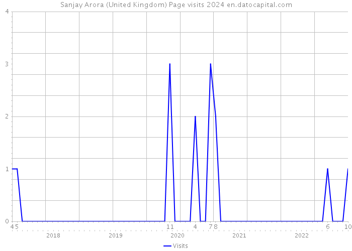 Sanjay Arora (United Kingdom) Page visits 2024 