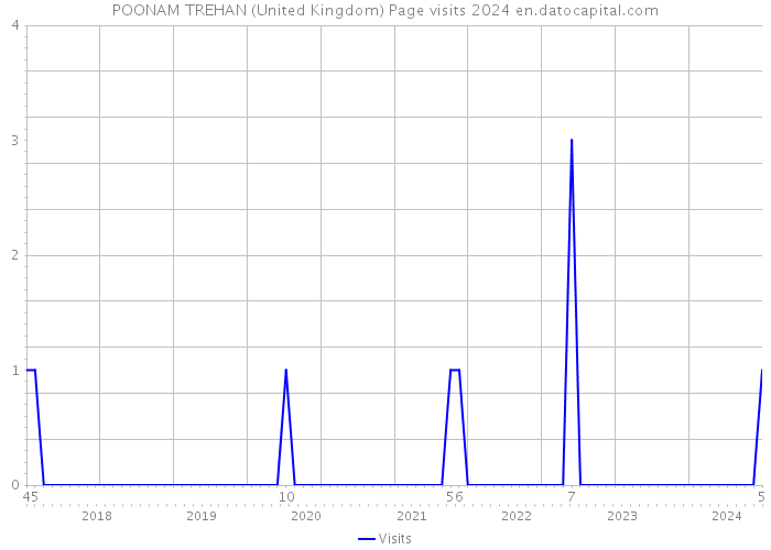 POONAM TREHAN (United Kingdom) Page visits 2024 