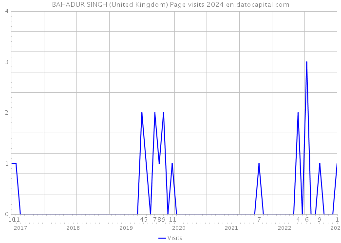 BAHADUR SINGH (United Kingdom) Page visits 2024 
