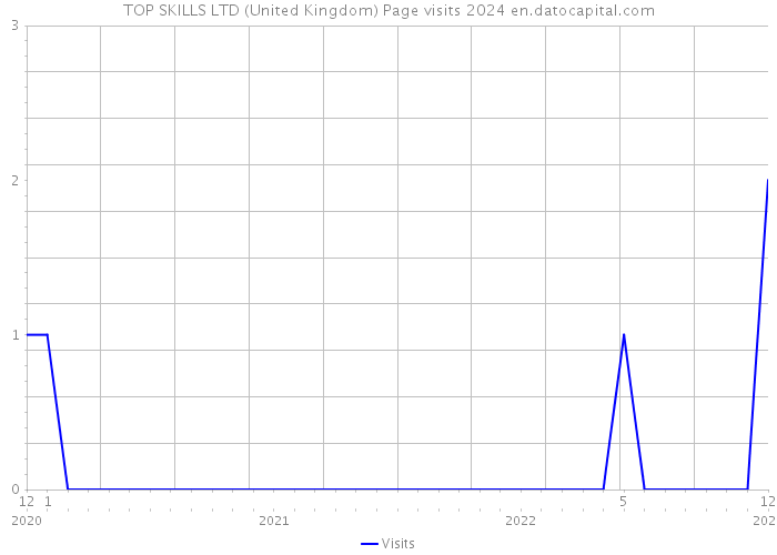 TOP SKILLS LTD (United Kingdom) Page visits 2024 