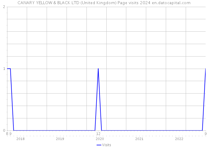 CANARY YELLOW & BLACK LTD (United Kingdom) Page visits 2024 