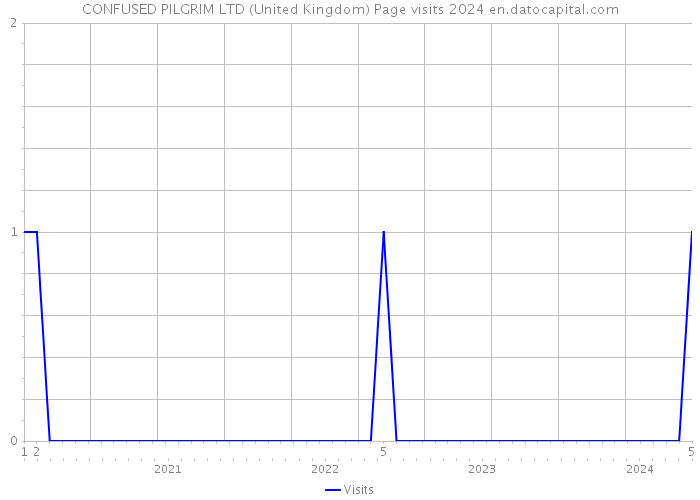 CONFUSED PILGRIM LTD (United Kingdom) Page visits 2024 