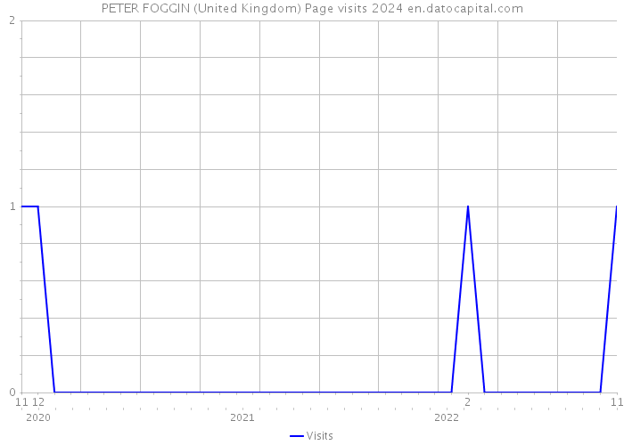 PETER FOGGIN (United Kingdom) Page visits 2024 