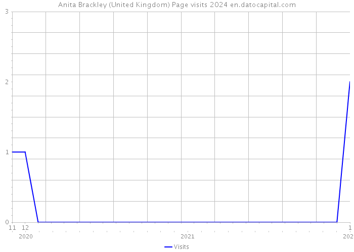 Anita Brackley (United Kingdom) Page visits 2024 