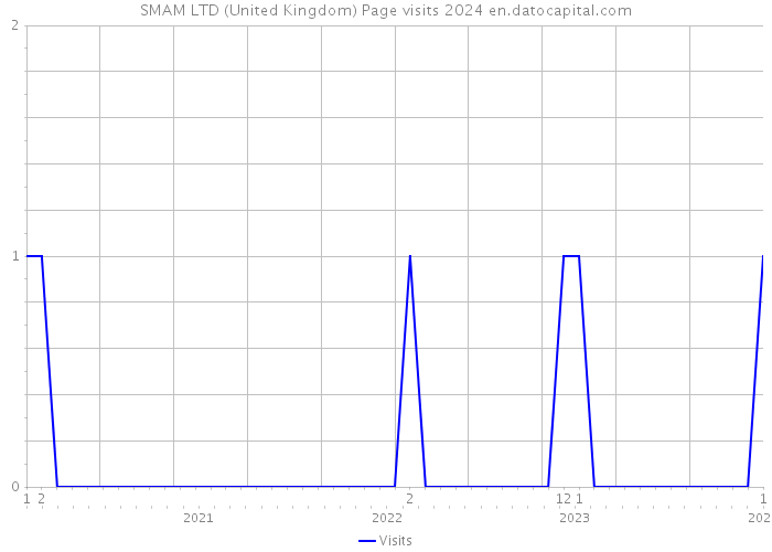 SMAM LTD (United Kingdom) Page visits 2024 