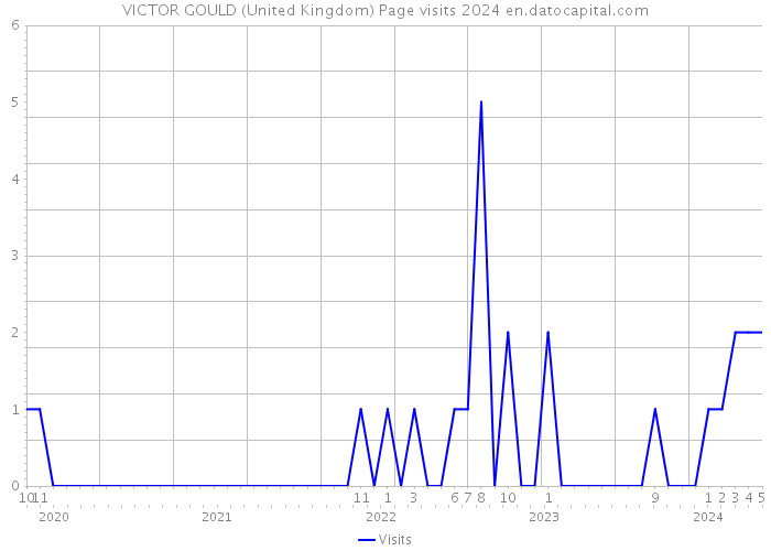 VICTOR GOULD (United Kingdom) Page visits 2024 