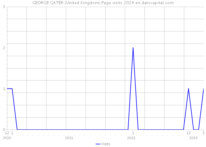 GEORGE GATER (United Kingdom) Page visits 2024 