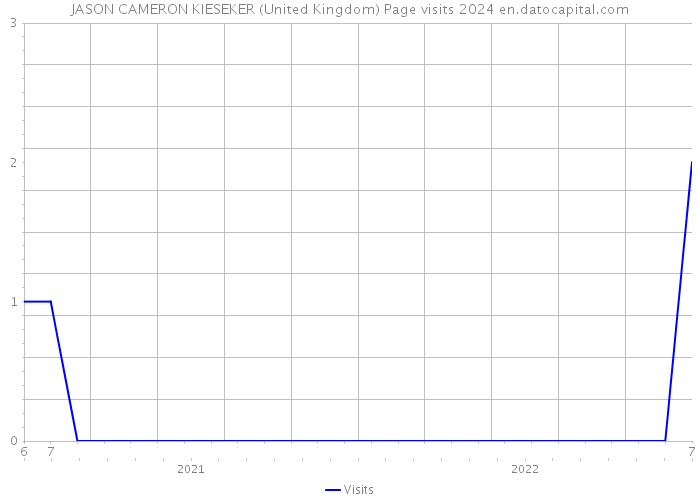 JASON CAMERON KIESEKER (United Kingdom) Page visits 2024 