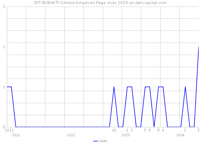 DIT BUSHATI (United Kingdom) Page visits 2024 